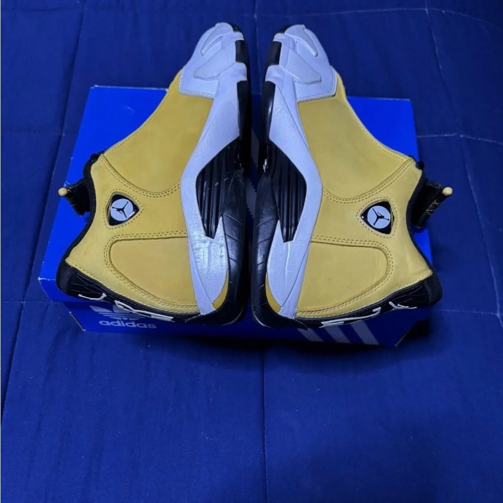 Jordan 14 retro